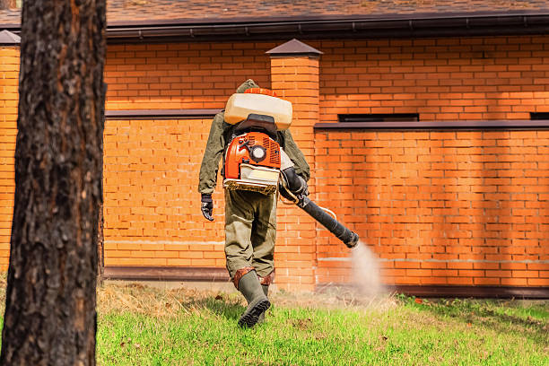 Trusted Mosquito Control service in Port Neches, TX - Nex Pest Control